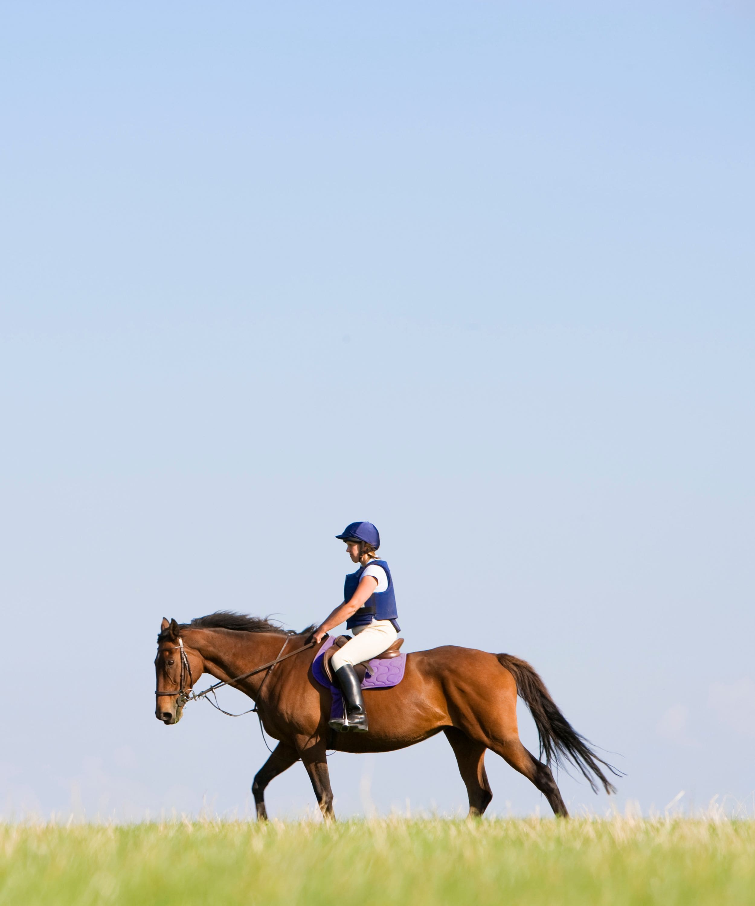 What the advantages & disadvantages of horse riding? Bridles & Reins