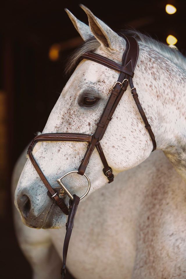 Bridle Cheek Pieces Cheek Pieces for Horses Bridles & Reins