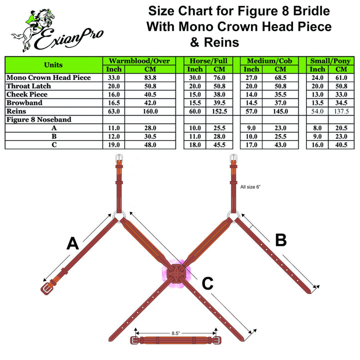 ExionPro Broad Crownpiece Designer Fully Adjustable Figure 8 Bridle with Reins-Bridles-Bridles & Reins