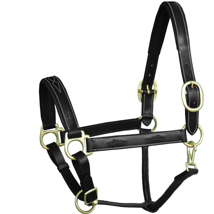 ExionPro Fancy Braided Padded Leather Halter-Brass Buckles-Halters-Bridles & Reins