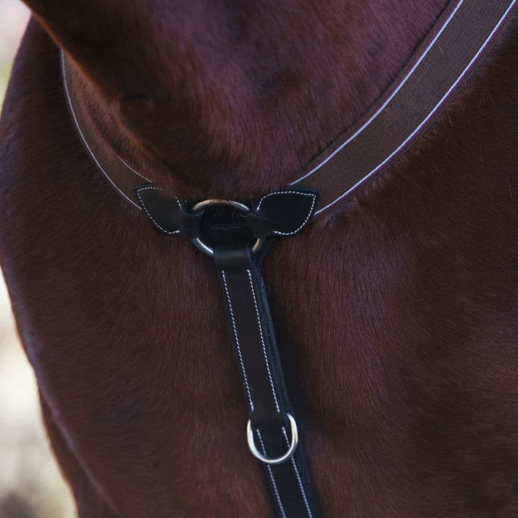 ExionPro Padded Heart Shape D-Ring Horse Breastplate with Running Attachment - Matching Elastic-Horse Breastplates-Bridles & Reins