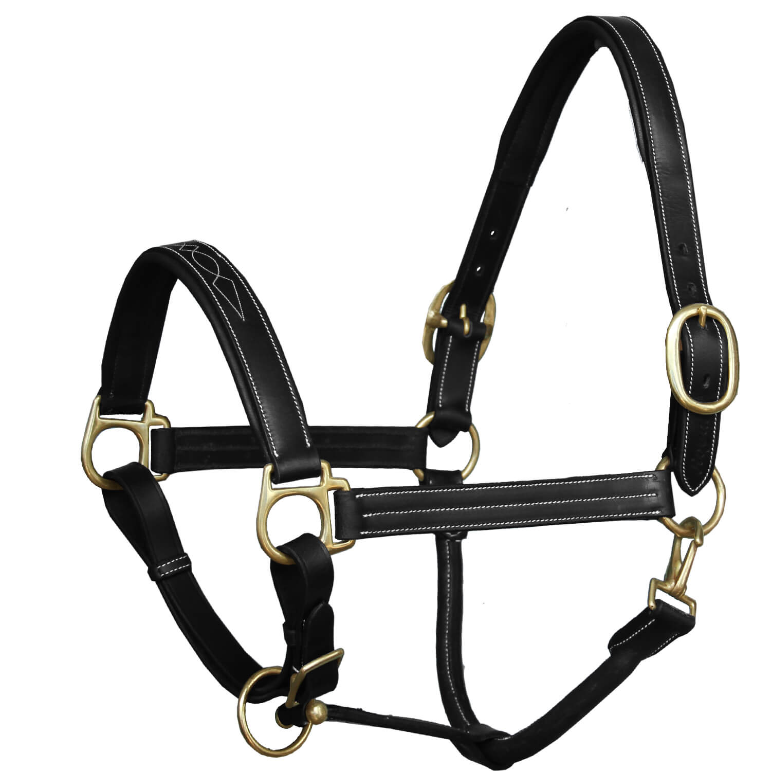 ExionPro Leather Horse Halter | Halters for Horses | Horse Halter Leather