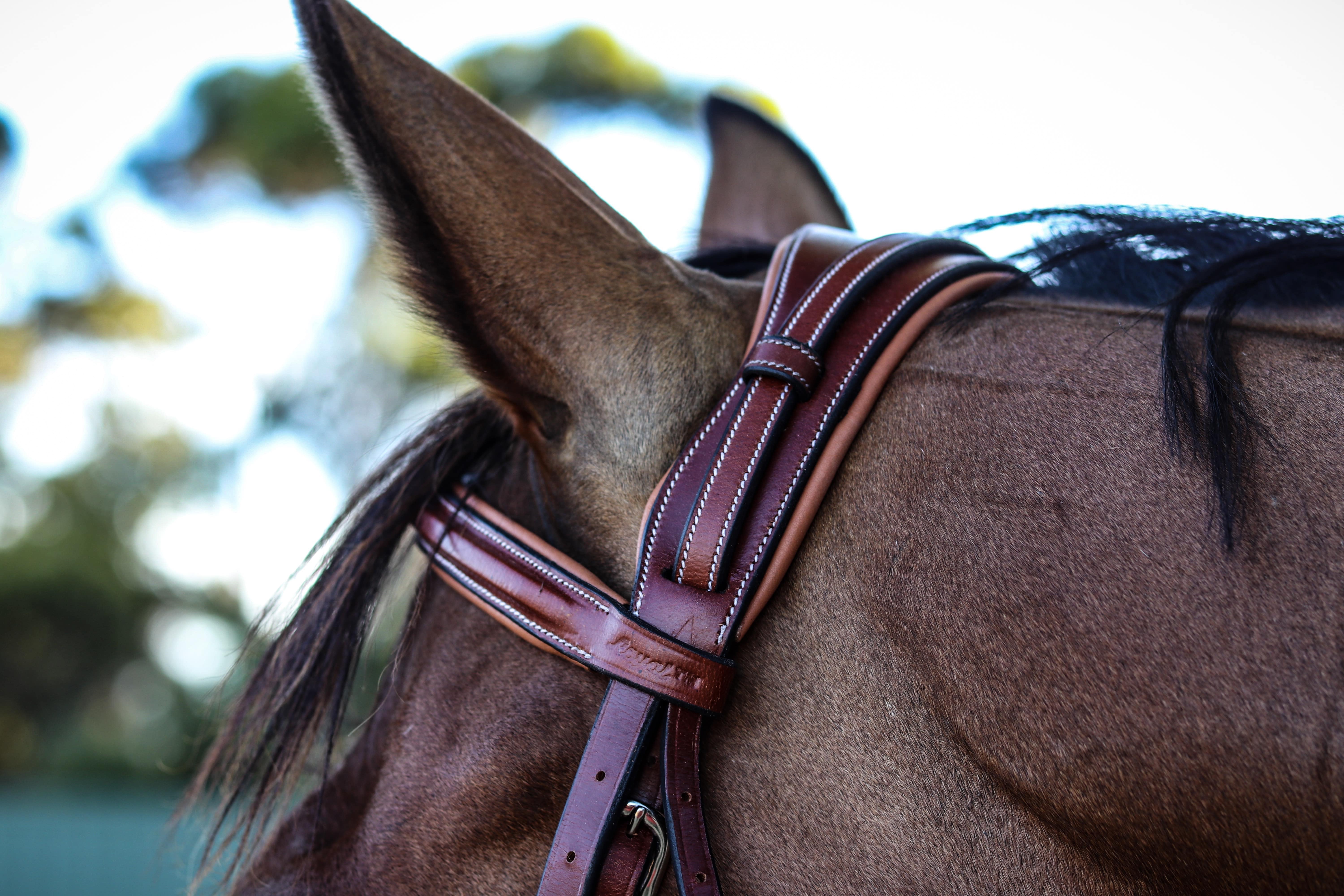 Replacement Crownpiece Bridle Parts & Accessories Bridles & Reins