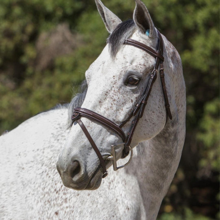 Replacement Noseband of ExionPro Designer Stitched Mono Crown Piece Snaffle Bridle-Nosebands-Bridles & Reins