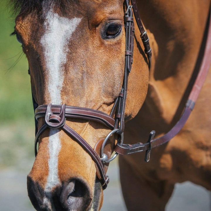 Replacement Noseband of ExionPro Fully Padded Snaffle Bridle with U Shaped Detachable Flash-Nosebands-Bridles & Reins