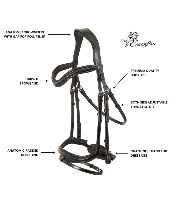 ExionPro 'Ursa' Anatomic Dressage Bridle With Reins-Bridles-Bridles & Reins