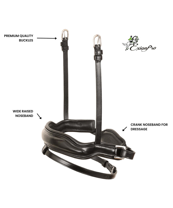 Replacement Noseband of ExionPro 'Leo' Classic Dressage Bridle-Nosebands-Bridles & Reins