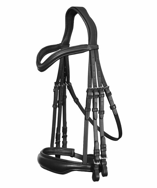 ExionPro 'Corvus' Dressage Double Bridle with Reins