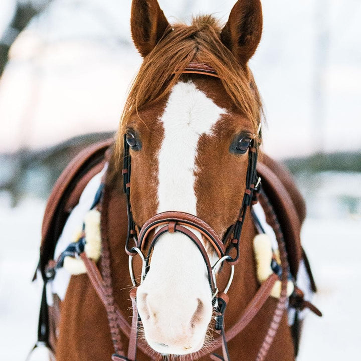 ExionPro Twin Designer Fancy Stitched English Snaffle Bridle with Reins-Bridles-Bridles & Reins