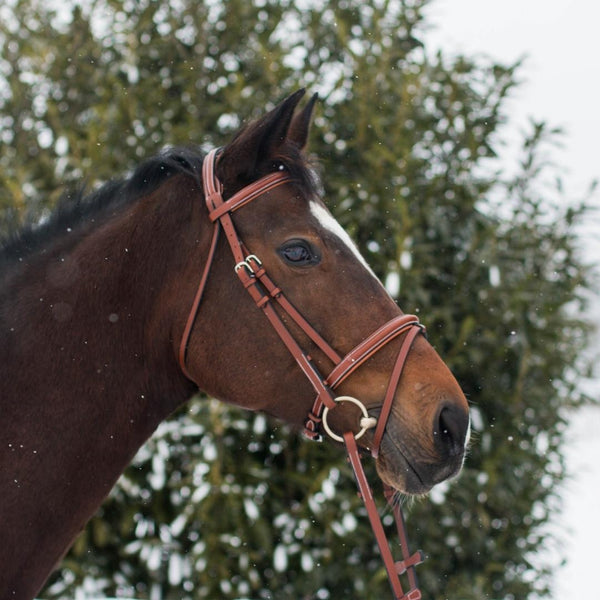 ExionPro Pressure Relief Crown Raised Padded Jumping Bridle with Reins-Bridles-Bridles & Reins