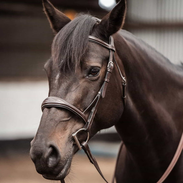 ExionPro Fancy Stitched Raised Anatomical Bridle without Flash with Rubber Reins-Bridles-Bridles & Reins