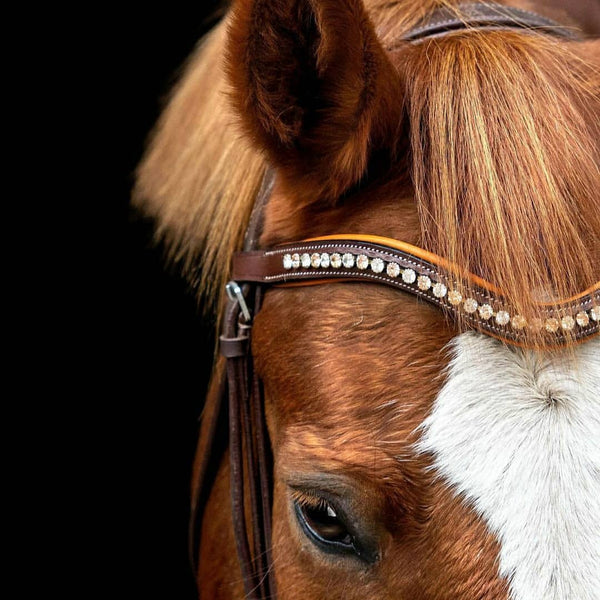 ExionPro Elegant Soft Padded Light Peach, Clear Crystal Browband-Browbands-Bridles & Reins