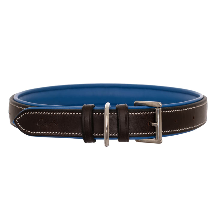 ExionPro Fancy Stitched Padded Leather Dog Collar - Blue Padding-Dog Collars-Bridles & Reins