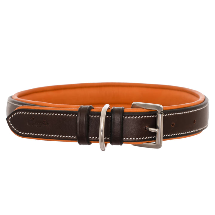 ExionPro Fancy Stitched Padded Leather Dog Collar - Conker Padding-Dog Collars-Bridles & Reins