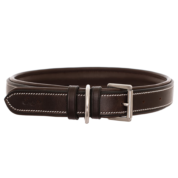 ExionPro Fancy Stitched Padded Leather Dog Collar - Havana Padding-Dog Collars-Bridles & Reins
