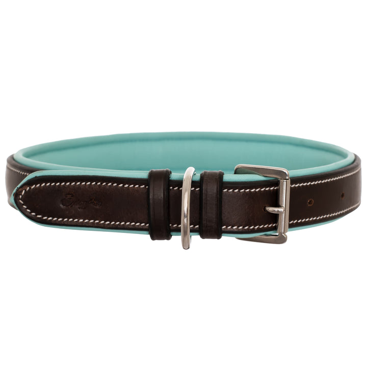 ExionPro Fancy Stitched Padded Leather Dog Collar - Sky Blue Padding-Dog Collars-Bridles & Reins