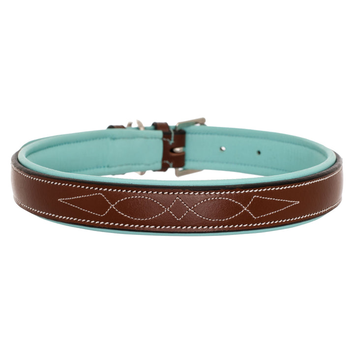 ExionPro Fancy Stitched Padded Leather Dog Collar - Sky Blue Padding-Dog Collars-Bridles & Reins