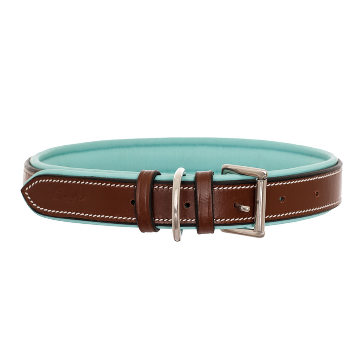 ExionPro Fancy Stitched Padded Leather Dog Collar - Sky Blue Padding-Dog Collars-Bridles & Reins