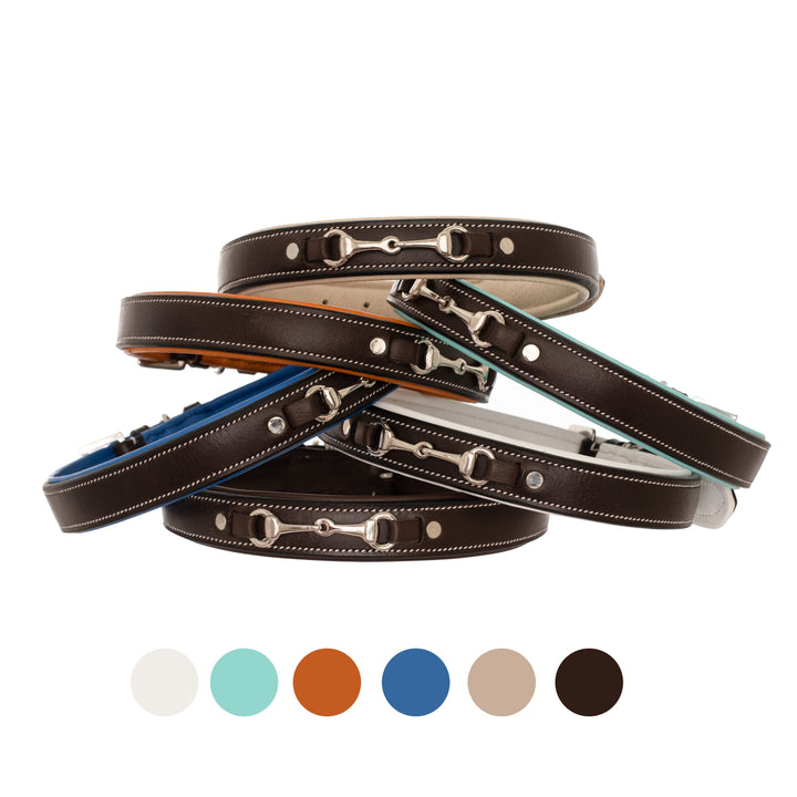 ExionPro Silver Snaffle Padded Leather Dog Collar - Blue Padding-Dog Collars-Bridles & Reins
