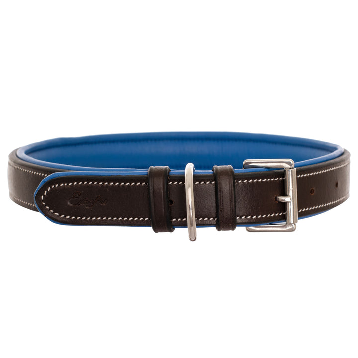 ExionPro Silver Snaffle Padded Leather Dog Collar - Blue Padding-Dog Collars-Bridles & Reins