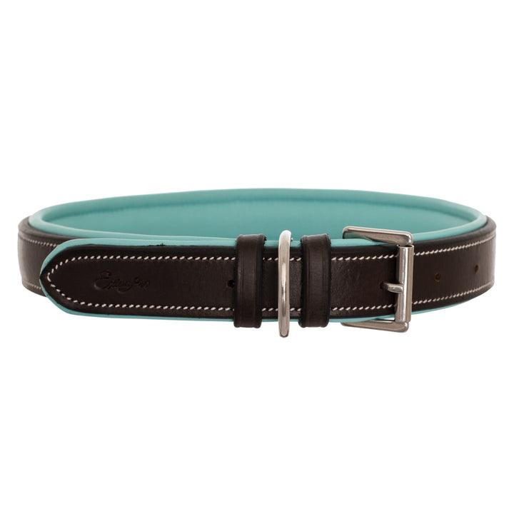 ExionPro Silver Snaffle Padded Leather Dog Collar - Sky Blue Padding-Dog Collars-Bridles & Reins