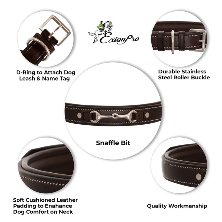 ExionPro Silver Snaffle Padded Leather Dog Collar - Blue Padding-Dog Collars-Bridles & Reins