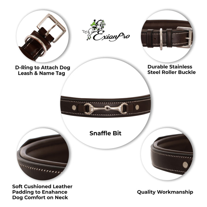 ExionPro Silver Snaffle Padded Leather Dog Collar - Brown Padding-Dog Collars-Bridles & Reins