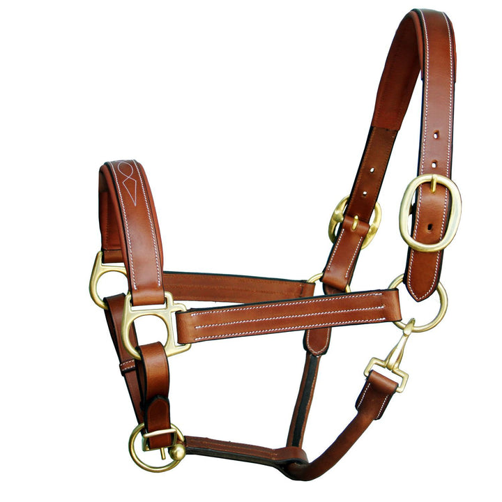 ExionPro Triple Stitched Cheek & Designer Fancy Padded Leather Halter-Brass Buckles-Halters-Bridles & Reins