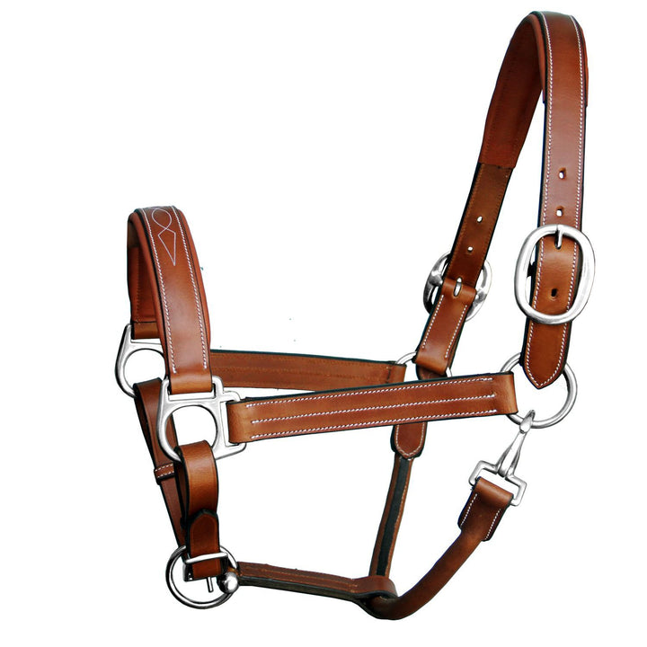 ExionPro Triple Stitched Cheek & Designer Fancy Padded Leather Halter - Brass Nickel Buckles-Halters-Bridles & Reins