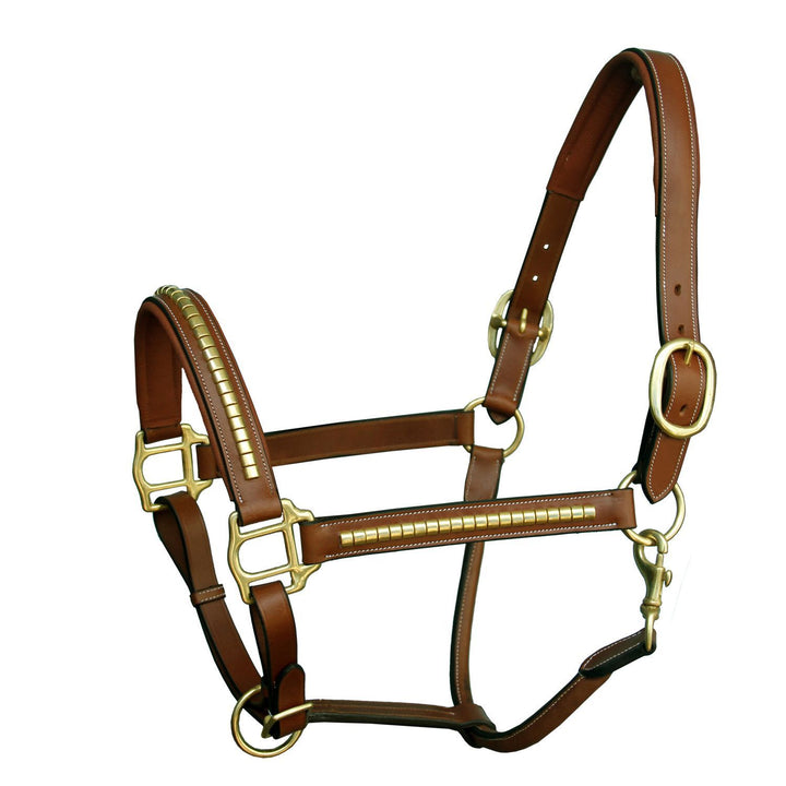 ExionPro Gold Brass Clincher Studded Horse Halter-Halters-Bridles & Reins