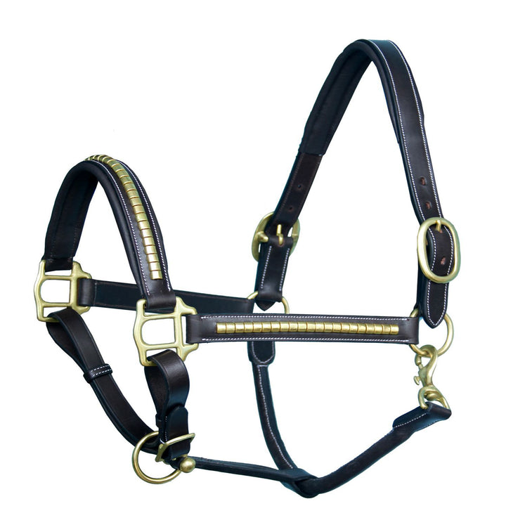 ExionPro Gold Brass Clincher Studded Horse Halter-Halters-Bridles & Reins