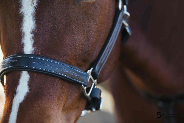 ExionPro Six Fancy Padded Halter- Brass Nickel Hardware-Halters-Bridles & Reins