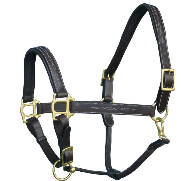 ExionPro Six Fancy Padded Halter-Brass Hardware-Halters-Bridles & Reins