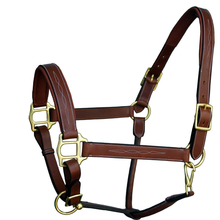 ExionPro Six Fancy Padded Halter-Brass Hardware-Halters-Bridles & Reins