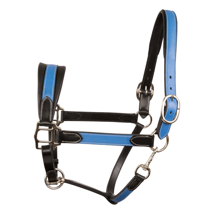 ExionPro Leather Soft Padded Blue Halter and Leather Lead with Chain Combo-Halters-Bridles & Reins