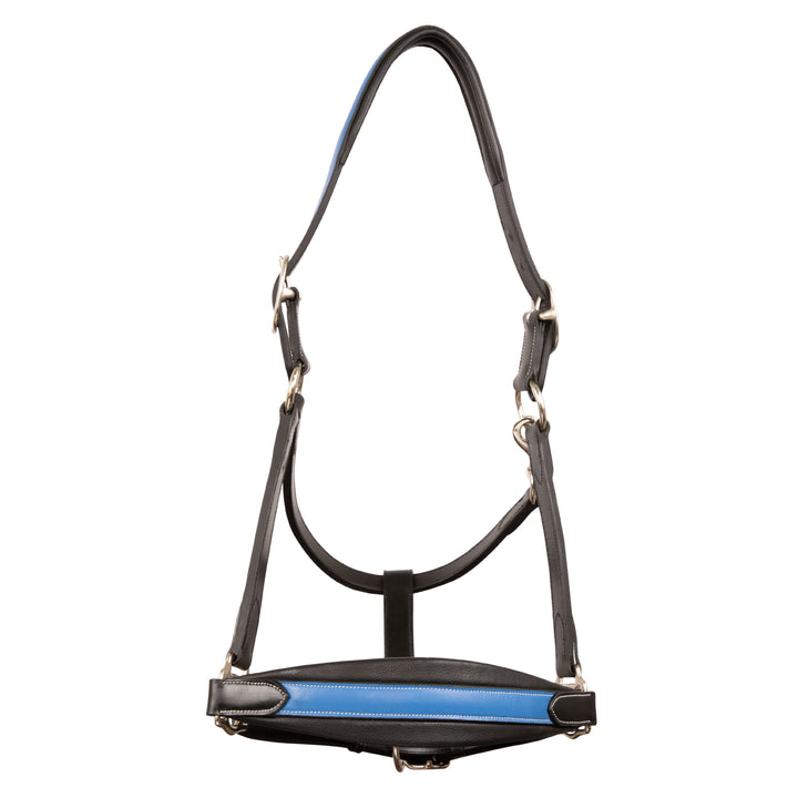 ExionPro Leather Soft Padded Blue Halter and Leather Lead with Chain Combo-Halters-Bridles & Reins