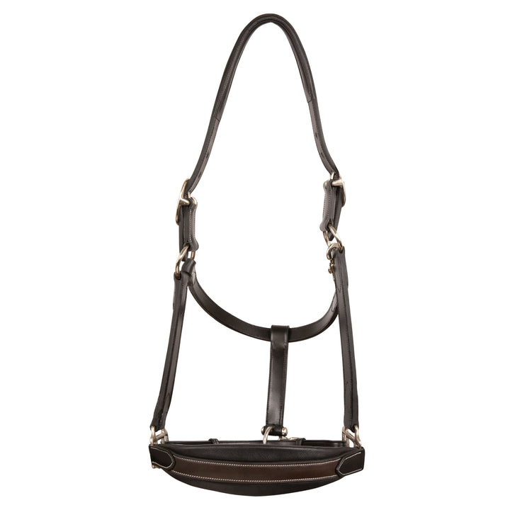 ExionPro Leather Soft Padded Havana Halter and Leather Lead with Chain Combo-Halters-Bridles & Reins