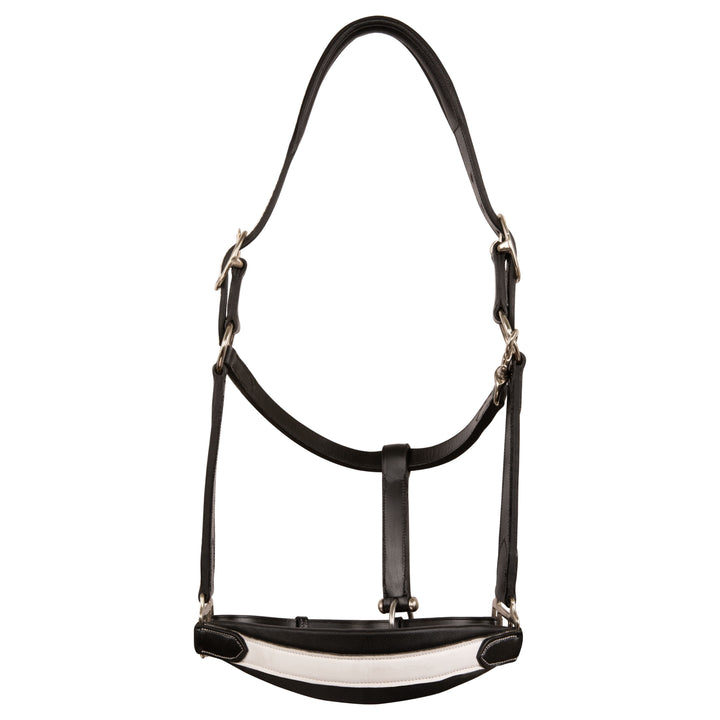 ExionPro Leather Soft Padded White Halter and Leather Lead with Chain Combo-Halters-Bridles & Reins