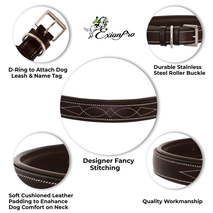 ExionPro Fancy Stitched Padded Leather Dog Collar - Brown Padding-Dog Collars-Bridles & Reins