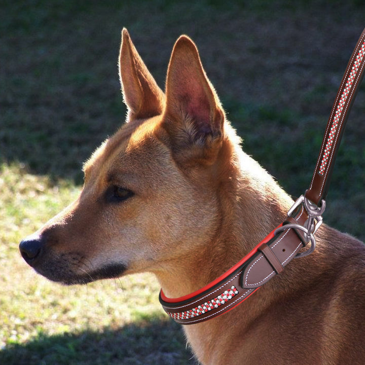 ExionPro Red Bling Padded Dog Collar With Dog Lead-Dog Leads with Dog Collars-Bridles & Reins