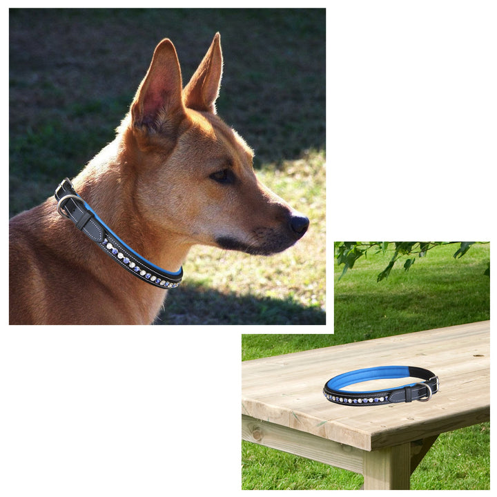 ExionPro White & Blue Bling Dog Collar With Lead-Dog Leads with Dog Collars-Bridles & Reins