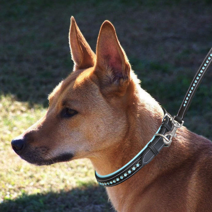 ExionPro Blue Bling Dog Collar With Lead-Dog Leads with Dog Collars-Bridles & Reins