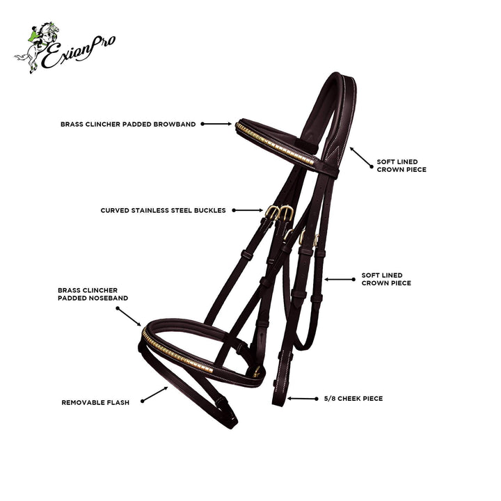 ExionPro Brass Clincher Studded Bridle With Flash and Reins-Bridles-Bridles & Reins