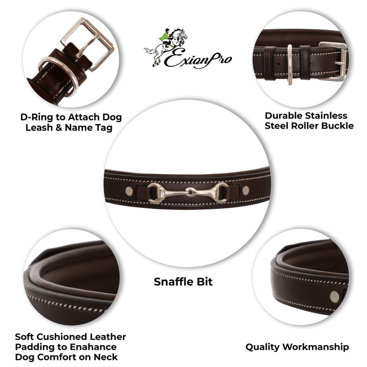 ExionPro Silver Snaffle Padded Leather Dog Collar - Conker Padding-Dog Collars-Bridles & Reins