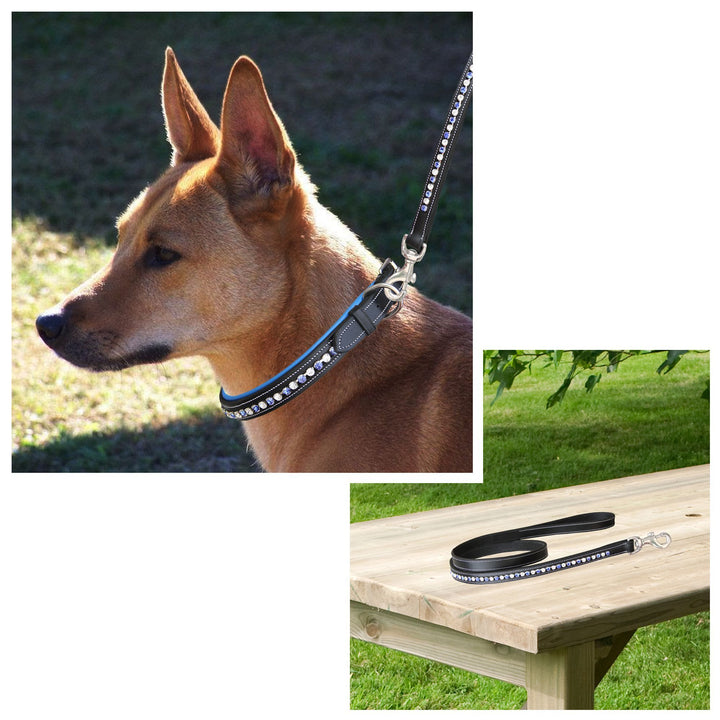 ExionPro White & Blue Bling Dog Lead-Dog Leads-Bridles & Reins