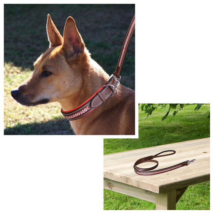 ExionPro Red Bling Padded Dog Lead-Dog Leads-Bridles & Reins