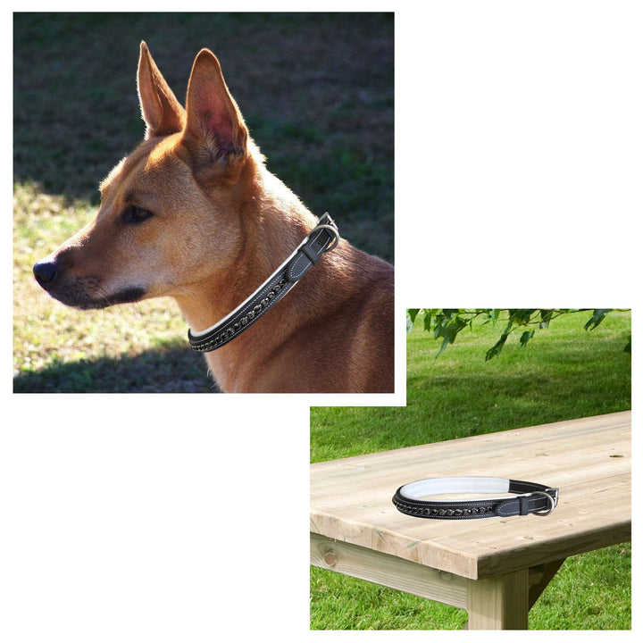 ExionPro Black Bling Dog Collar-Dog Collars-Bridles & Reins