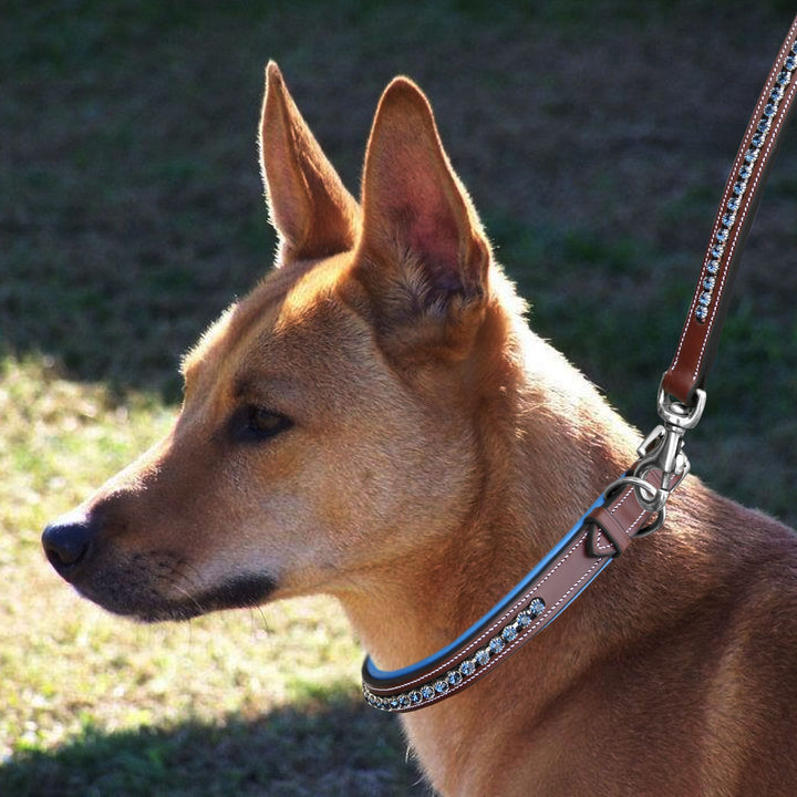 ExionPro Dark Blue Bling Dog Lead-Dog Leads-Bridles & Reins