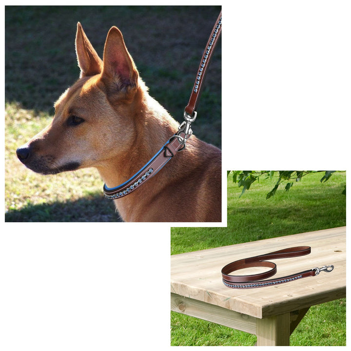 ExionPro Dark Blue Bling Dog Lead-Dog Leads-Bridles & Reins