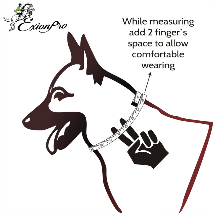 ExionPro Silver Snaffle Padded Leather Dog Collar - Beige Padding-Dog Collars-Bridles & Reins